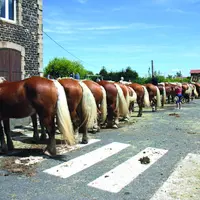 Le concours se tiendra autour de la salle polyvalente de Solignac sur Loire, de 9h à 17h, grâce à l’aide de la mairie de solignac et de Solignac Anima