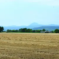 Les moissons ont débuté et offrent pour l'instant des rendements satisfaisant en orges et blé tandis que ceux du colza traduisent le manque d'eau hive