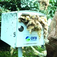 De la laine, répandue sur les grilles et fourrée dans la boîte aux lettres de l'OFB, a permis aux éleveurs de faire passer leur message.