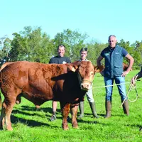 Le GIE Lauv'lim permet aux éleveurs d'Auvergne et de Lozère, de commercialiser leurs animaux et de progresser génétiquement, comme ici au Gaec Gidon.