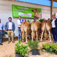 Le Gaec Margeride (15) a largement dominé ce concours.