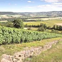 A Boudes, les vignes de Côtes d’Auvergne sont effectivement en pente, ce qui demande aux viticulteurs une technique et des connaissances pointues.