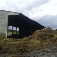 La paille encore fumante aux abords du hangar détruit.