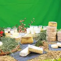 Le fromage au lait cru, un des fleurons de notre gastronomie locale voire française, mis à mal...