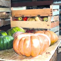 Caisses de légumes