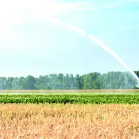Irrigation