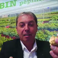 Truffes blanches de Bruno Robin, président des Pépinières Robin