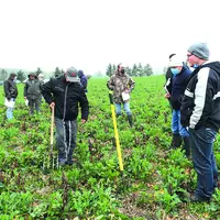Le deuxième Vendredi de l'Agro de la Chambre d'agriculture avait pour thème la culture du colza associé sous couvert de légumineuses.