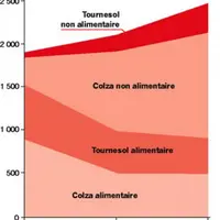 Surface d'oléagineux en forte croissance
La montée en puissance des surfaces à vocation énergétique a permis ces dernières années de sécuriser les pr
