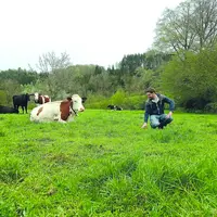 Alexandre Fonlupt a ouvert la pâture à sa quarantaine d'animaux le 25 mars dernier et espère les premières récoltes de l'herbe au plus tard le 10 mai.