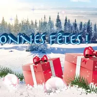Bonnes fêtes de fin d'année !