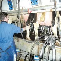 Dans le secteur animal, qui a subi globalement une baisse des prix, les exploitations laitières sont les plus affectées.