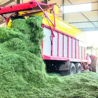 Camion versant de l'herbe.