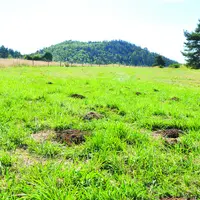 Les observations de l’été et de l’automne permettront de confirmer ou pas le déclin des populations. Mais la pression reste forte particulièrement en