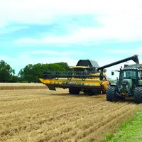 Quelques parcelles d'orge et de blé ont été moissonnées dimanche dernier avant d'être stoppées par le retour de la pluie.