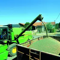 La récolte de la lentille démarre tout juste dans le département dans des conditions compliquées entre excès d'eau, verse et salissement des parcelles