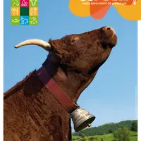 Ovalie de St-Alyre-ès-Montagne égérie du SIA 2023