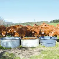 L’abreuvement des animaux au pré est un souci permanent mais bien moins considéré dans les bâtiments.