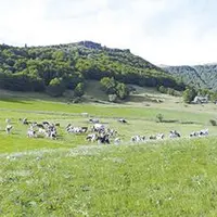 Rendez-vous jeudi 24 septembre dès 9 h 30 à l’INRAE de Laqueuille (Les Fumades), inscription au 04 73 65 92 69.