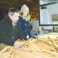 Le tabac récolté cet automne est en cours d’emballage pour être vendu à l’usine de Sarlat.
