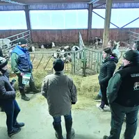 Dans la nurserie du GAEC de La Bergeronnette à Olliergues, les futures génisses démarrent dans les meilleures conditions.