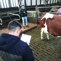 Les élèves des lycées agricoles du département ont participé à la finale départementale du concours de jugement des bovins le 7 décembre dernier.