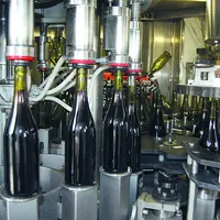 Le nouveau millésime 2021 des Côtes d'Auvergne sera mis en bouteille dans les prochaines semaines.