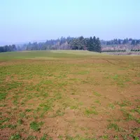 Les dégâts de campagnols terrestres sur les prairies sont impressionnants.