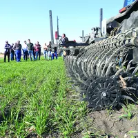 Le 24 mars dernier, la Chambre d'agriculture du Puy-de-Dôme et Bio 63 organisaient une après-midi autour du désherbage mécanique.