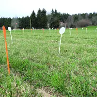 La plateforme d'Herbe Richesse du Forez, implantée à Fontlobines dans le Livradois-Forez, perdure et relance des essais.