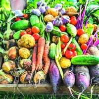 Légumes