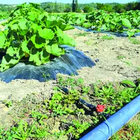 L'efficience de l'eau est la première préoccupation des agriculteurs ; pourtant la méthode rencontre de plus en plus d'opposants.