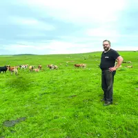 En l'espace de 24 heures, deux vaches de Patrick Boyer ont été dépecées par les vautours dont une où la mort de l'animal n'est pas certaine avant l'in