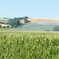 Pas de restrictions pour l'irrigation