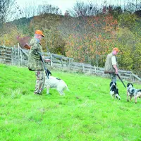 La région Auvergne-Rhône-Alpes compte, en tout, plus de 120 000 chasseurs et près de 2 500 associations locales de chasse.