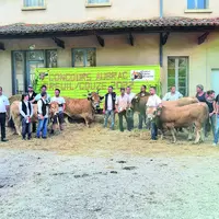 Les éleveurs du syndicat Aubrac des Volcans sur le ring confectionné en partenariat avec les élèves du lycée du Breuil-sur-Couze.