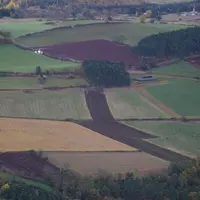 Foncier agricole