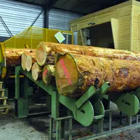 La production de bois est entrée à son tour dans la spirale des marchés mondiaux et de la spéculation mais sa nature indolente complexifie l'adaptatio