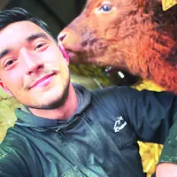 Louis Debard, futur éleveur de salers, partage son expérience sur Tiktok et Instagram.