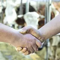 En 2019, 124 exploitations adhérentes à Agri Emploi63 ont bénéficié des services de 386 salariés