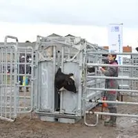 Lors du concours sur manipulation des bovins organisé par la MSA Auvergne au lycée agricole de Marmilhat, les neufs élèves participants ont pris consc