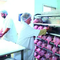 Association d’Abattage des Volailles Fermières d’Auvergne poursuit son développement