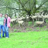 Vincent Guillot avec ses deux filles Eloïse et Caroline, seront tous trois au départ de la transhumance le 18 mai à 10 h à Pontgibaud.