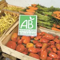 L’Auvergne veut être plus ambitieuse sur le bio