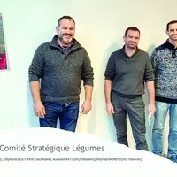 Bureau du Comité Stratégique Légumes