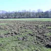 Des dégâts de gibiers récurrents et qui s’aggravent sur le département avec de nouveaux secteurs subissant des dégâts, comme le Cézallier. Sur la phot