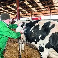 «La désertification vétérinaire est le dernier signe avant la désertification agricole», regrette Laurent Duplomb.