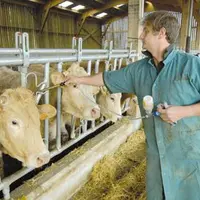 A l’issue de la campagne obligatoire de vaccination 2008/2009, les professionnels s’inquiètent de l’absence de stratégie vaccinale pour la prochaine p