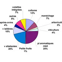 Fermes bio par production principale dans le Puy-de-Dôme en 2006