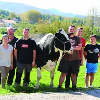 Lait : une poche de résistance au Pays basque